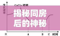 揭秘同房后的神秘液體，愛與生理的奇妙交織