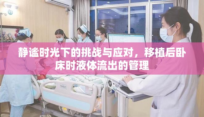 靜謐時(shí)光下的挑戰(zhàn)與應(yīng)對(duì)，移植后臥床時(shí)液體流出的管理