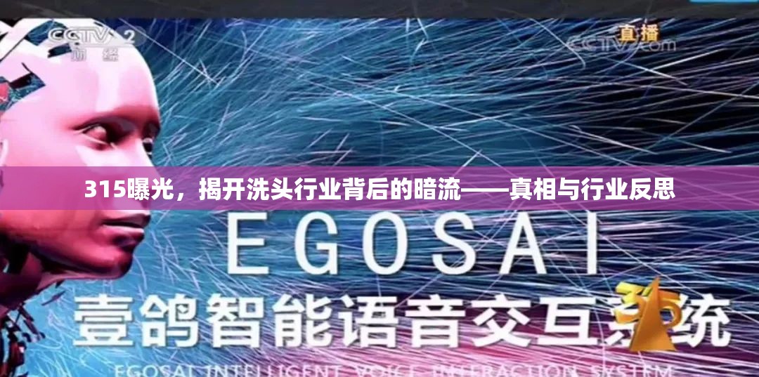 315曝光，揭開洗頭行業(yè)背后的暗流——真相與行業(yè)反思