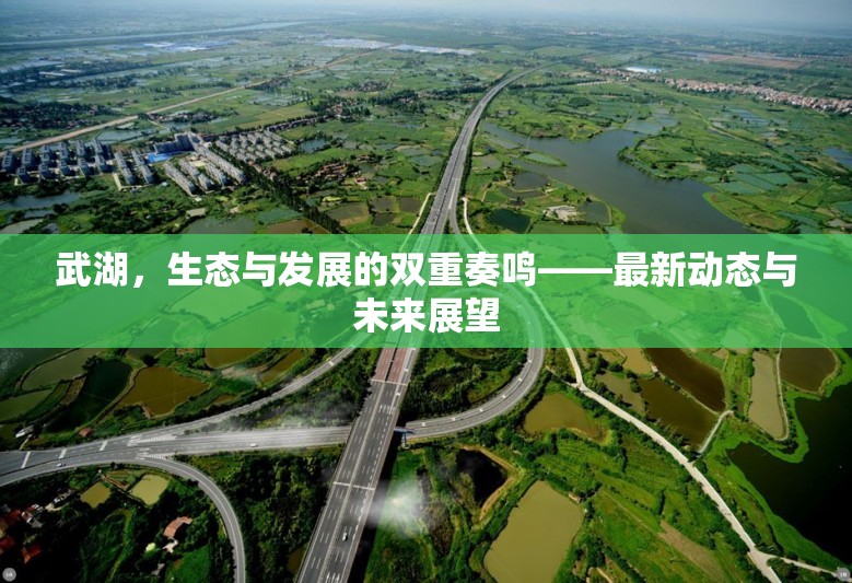 武湖，生態(tài)與發(fā)展的雙重奏鳴——最新動態(tài)與未來展望
