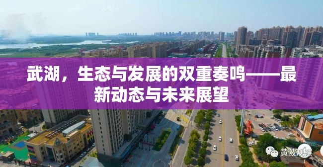 武湖，生態(tài)與發(fā)展的雙重奏鳴——最新動態(tài)與未來展望