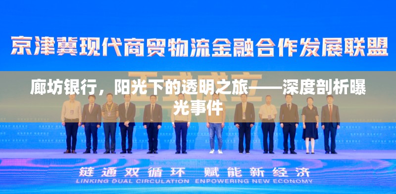 廊坊銀行，陽光下的透明之旅——深度剖析曝光事件