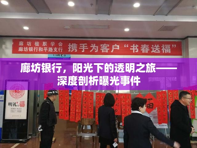 廊坊銀行，陽光下的透明之旅——深度剖析曝光事件