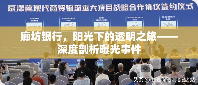 廊坊銀行，陽光下的透明之旅——深度剖析曝光事件