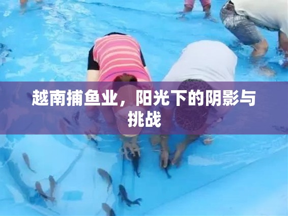 越南捕魚業(yè)，陽光下的陰影與挑戰(zhàn)