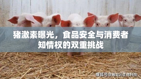 豬激素曝光，食品安全與消費(fèi)者知情權(quán)的雙重挑戰(zhàn)