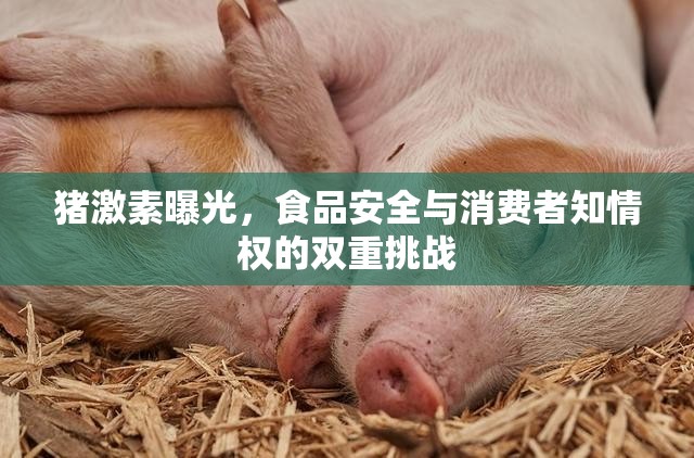 豬激素曝光，食品安全與消費(fèi)者知情權(quán)的雙重挑戰(zhàn)