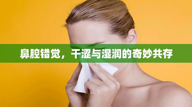 鼻腔錯覺，干澀與濕潤的奇妙共存