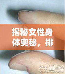 揭秘女性身體奧秘，排卵期水樣分泌物的科學(xué)解釋