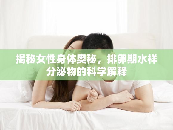 揭秘女性身體奧秘，排卵期水樣分泌物的科學(xué)解釋