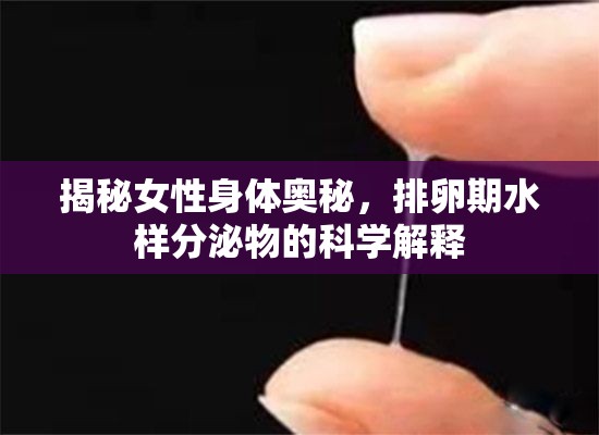揭秘女性身體奧秘，排卵期水樣分泌物的科學(xué)解釋