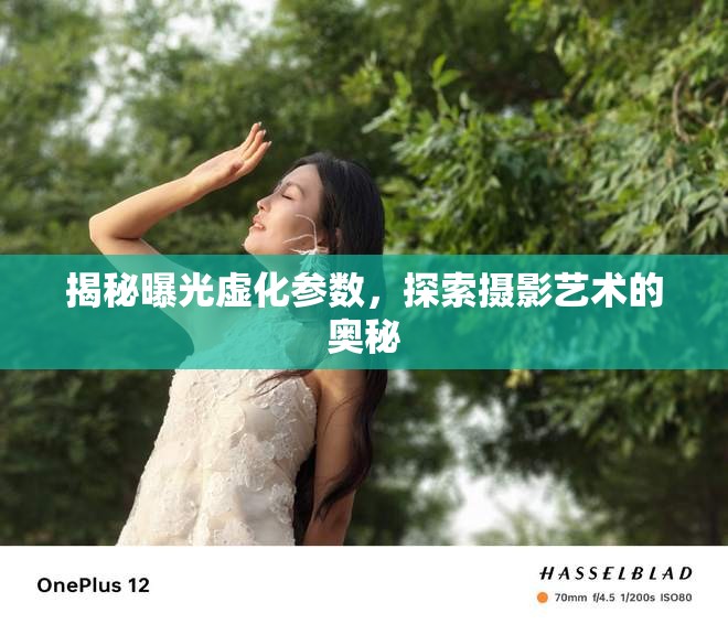 揭秘曝光虛化參數(shù)，探索攝影藝術(shù)的奧秘