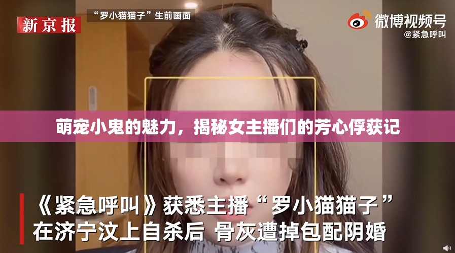 萌寵小鬼的魅力，揭秘女主播們的芳心俘獲記