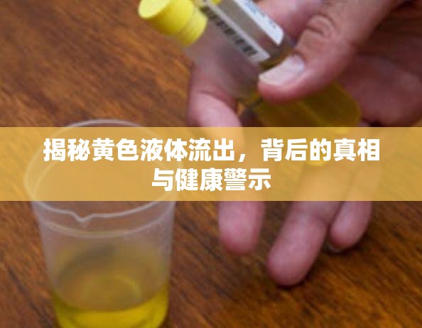 揭秘黃色液體流出，背后的真相與健康警示