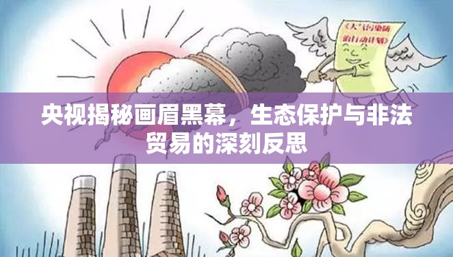 央視揭秘畫眉黑幕，生態(tài)保護與非法貿(mào)易的深刻反思