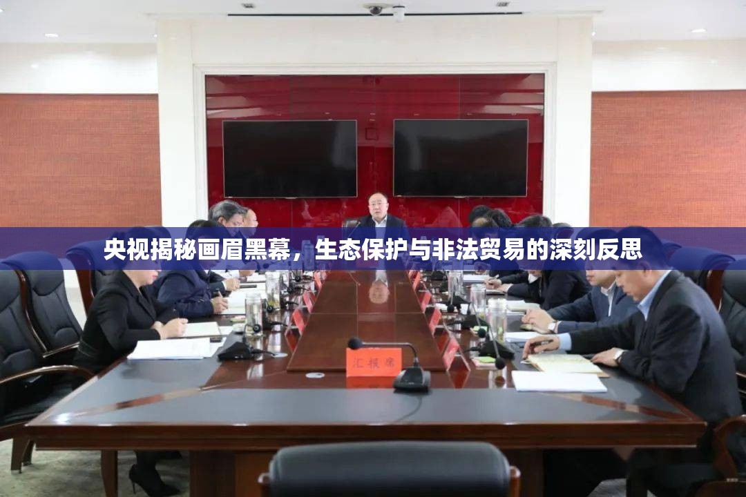 央視揭秘畫眉黑幕，生態(tài)保護與非法貿(mào)易的深刻反思