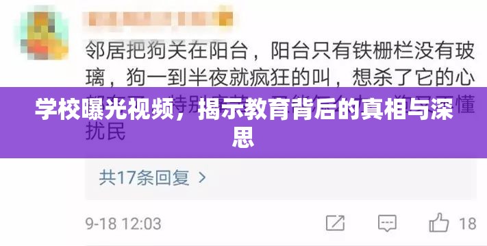 學(xué)校曝光視頻，揭示教育背后的真相與深思