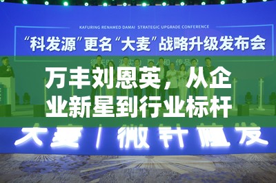 萬(wàn)豐劉恩英，從企業(yè)新星到行業(yè)標(biāo)桿——最新動(dòng)態(tài)與影響分析
