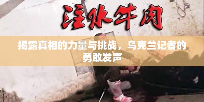 揭露真相的力量與挑戰(zhàn)，烏克蘭記者的勇敢發(fā)聲