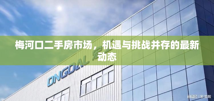 梅河口二手房市場，機遇與挑戰(zhàn)并存的最新動態(tài)