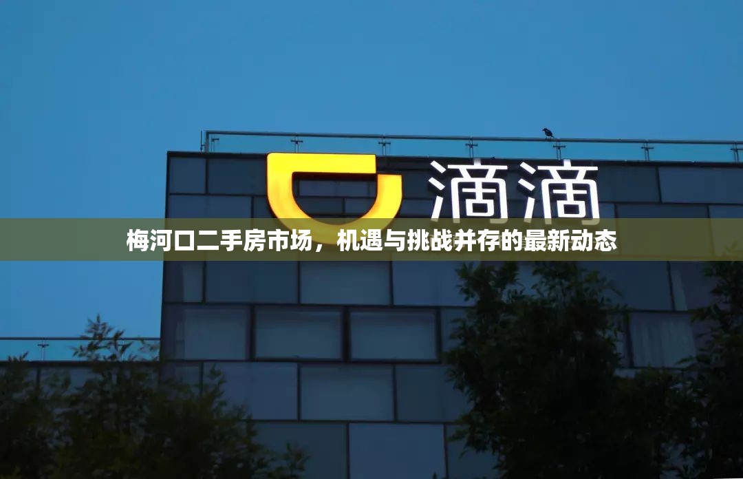 梅河口二手房市場，機遇與挑戰(zhàn)并存的最新動態(tài)