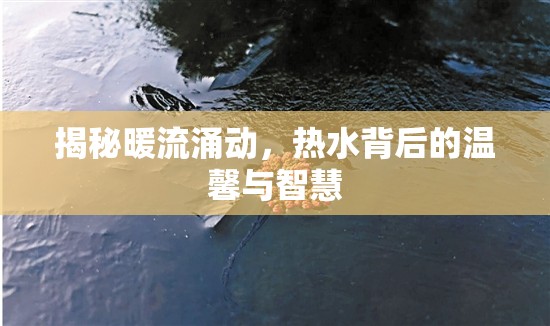 揭秘暖流涌動(dòng)，熱水背后的溫馨與智慧
