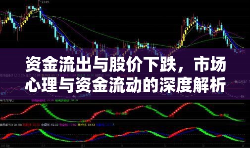 資金流出與股價下跌，市場心理與資金流動的深度解析