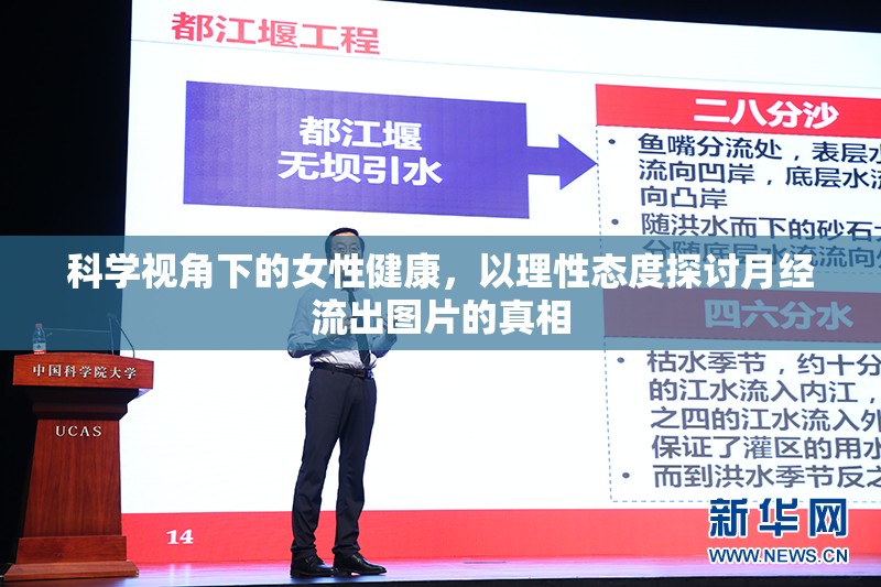 科學視角下的女性健康，以理性態(tài)度探討月經(jīng)流出圖片的真相