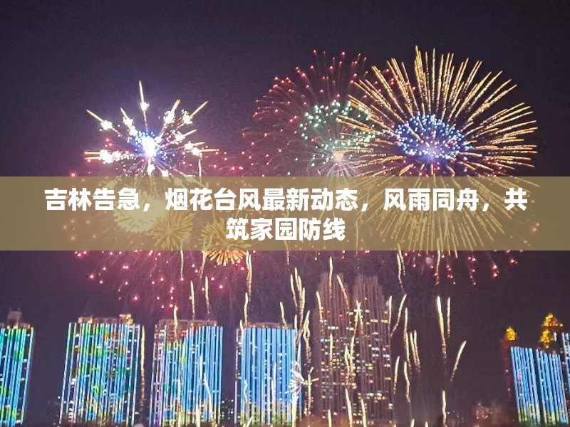 吉林告急，煙花臺風(fēng)最新動態(tài)，風(fēng)雨同舟，共筑家園防線