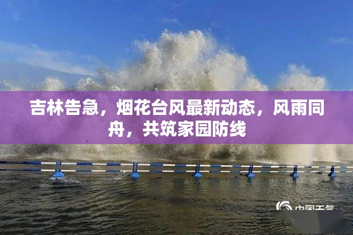 吉林告急，煙花臺風(fēng)最新動態(tài)，風(fēng)雨同舟，共筑家園防線