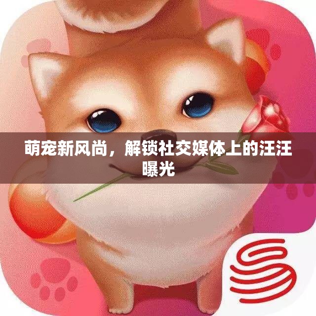 萌寵新風(fēng)尚，解鎖社交媒體上的汪汪曝光