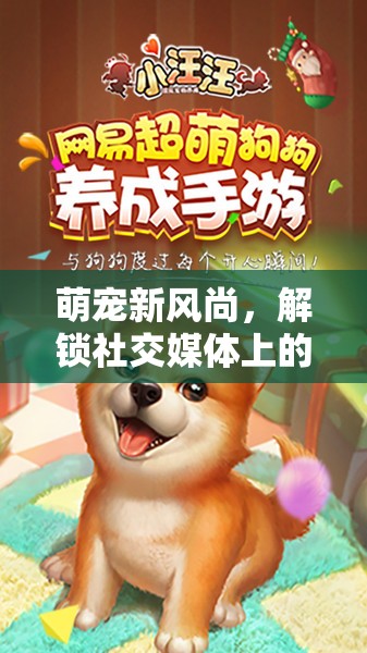 萌寵新風(fēng)尚，解鎖社交媒體上的汪汪曝光