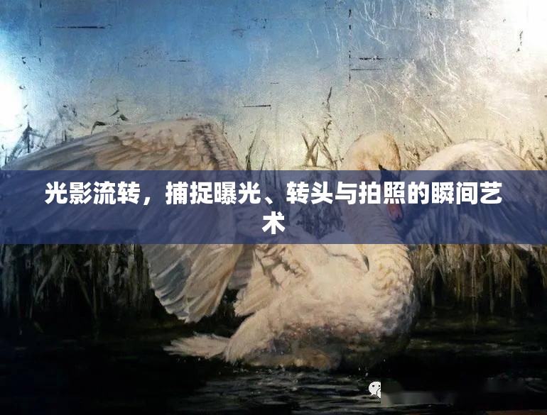 光影流轉(zhuǎn)，捕捉曝光、轉(zhuǎn)頭與拍照的瞬間藝術(shù)