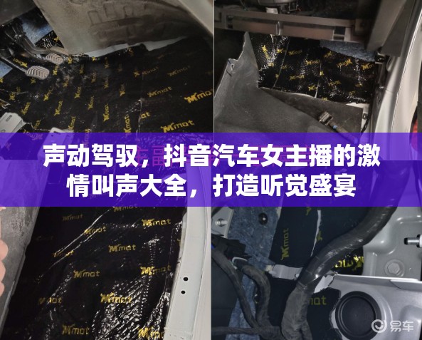 聲動駕馭，抖音汽車女主播的激情叫聲大全，打造聽覺盛宴