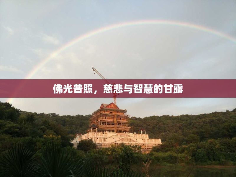 佛光普照，慈悲與智慧的甘露