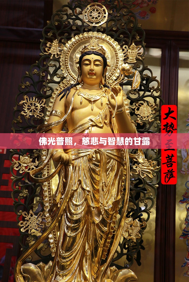 佛光普照，慈悲與智慧的甘露