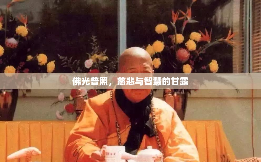 佛光普照，慈悲與智慧的甘露