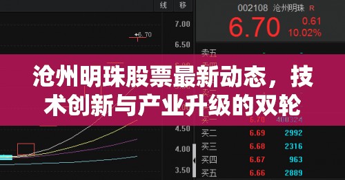 滄州明珠股票最新動(dòng)態(tài)，技術(shù)創(chuàng)新與產(chǎn)業(yè)升級(jí)的雙輪驅(qū)動(dòng)策略