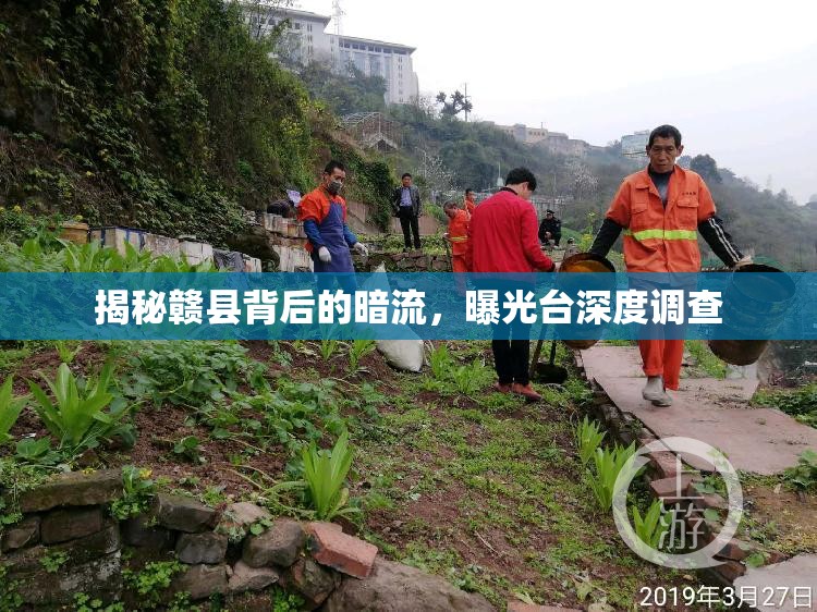 揭秘贛縣背后的暗流，曝光臺(tái)深度調(diào)查