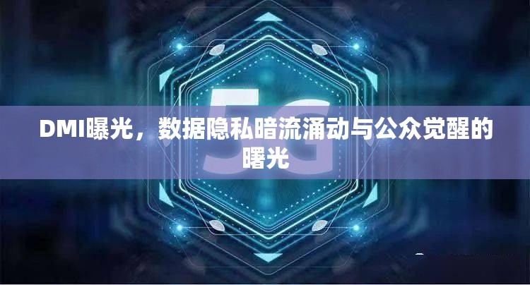 DMI曝光，數(shù)據(jù)隱私暗流涌動與公眾覺醒的曙光