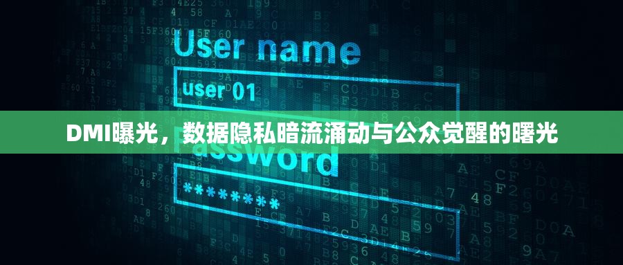 DMI曝光，數(shù)據(jù)隱私暗流涌動與公眾覺醒的曙光