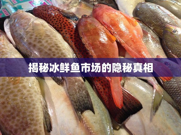 揭秘冰鮮魚市場的隱秘真相