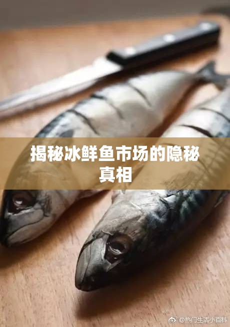 揭秘冰鮮魚市場的隱秘真相