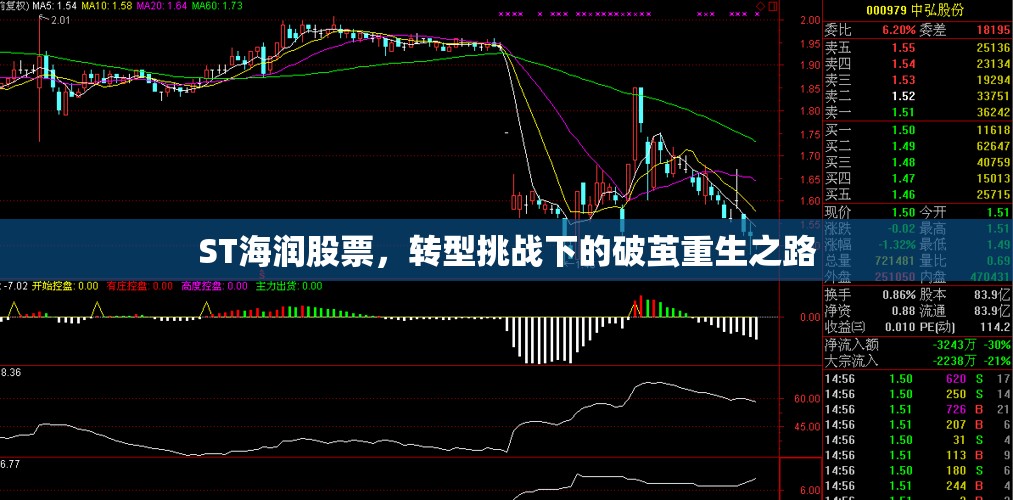 ST海潤股票，轉(zhuǎn)型挑戰(zhàn)下的破繭重生之路