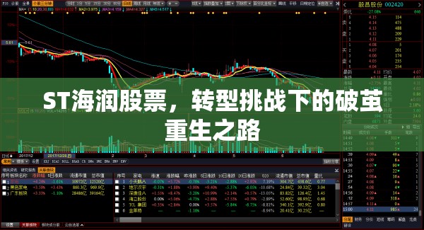 ST海潤股票，轉(zhuǎn)型挑戰(zhàn)下的破繭重生之路