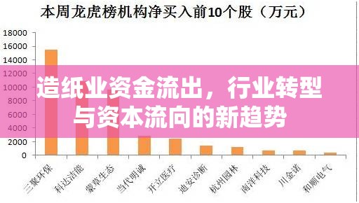 造紙業(yè)資金流出，行業(yè)轉(zhuǎn)型與資本流向的新趨勢