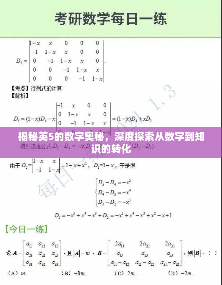 揭秘英5的數(shù)字奧秘，深度探索從數(shù)字到知識的轉(zhuǎn)化