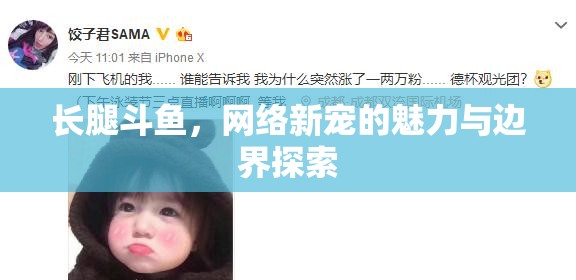 長腿斗魚，網(wǎng)絡新寵的魅力與邊界探索