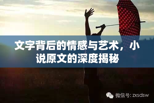 文字背后的情感與藝術，小說原文的深度揭秘