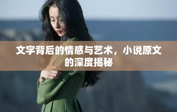 文字背后的情感與藝術，小說原文的深度揭秘